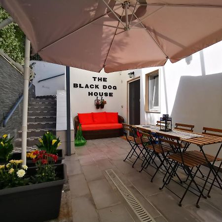 The Black Dog House Valenzano Dış mekan fotoğraf